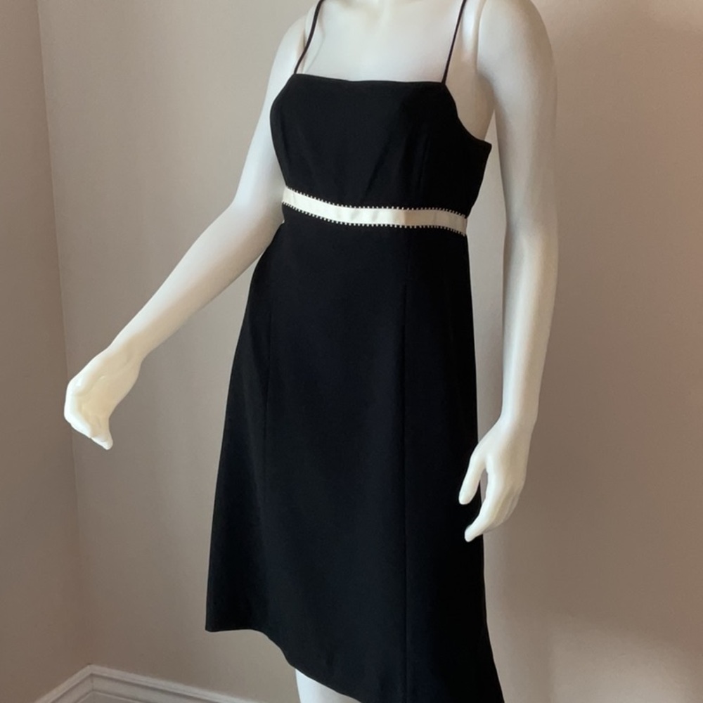Ann Taylor Ribbon Trim Dress - Picture 2 of 10